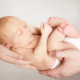 postpartum care dearborn heights